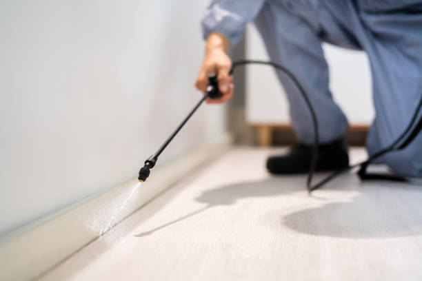 Professional exterminator conducting IPM assessment in Lake Lorraine