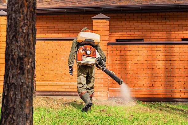 Bed Bug Clearance Verification and Documentation in Lake Lorraine